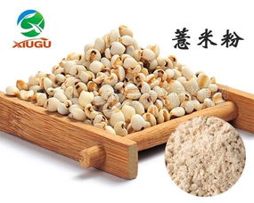 天津秀谷生物 专业厂直销干燥薏米粉，打造健康食品新选择